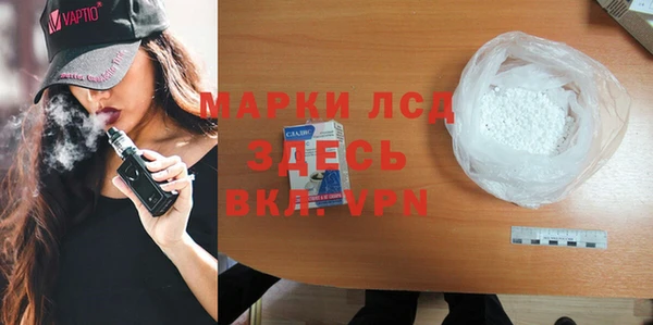 шишки Новодвинск