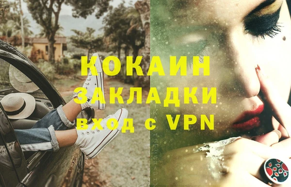 шишки Новодвинск