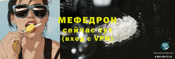 шишки Новодвинск