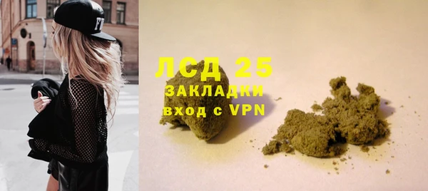 прущие крисы Новозыбков