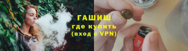 шишки Новодвинск