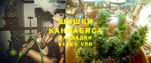 шишки Новодвинск