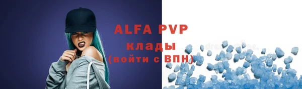 шишки Новодвинск