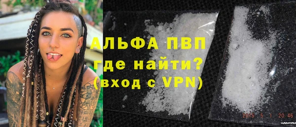 индика Саяногорск