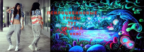 шишки Новодвинск