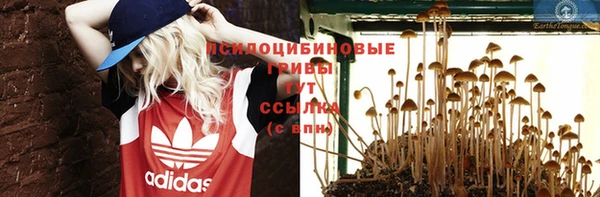 шишки Новодвинск