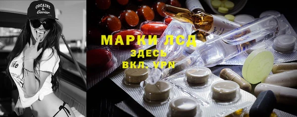 шишки Новодвинск