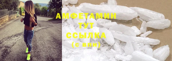 шишки Новодвинск